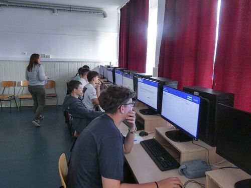 P1020517.jpg